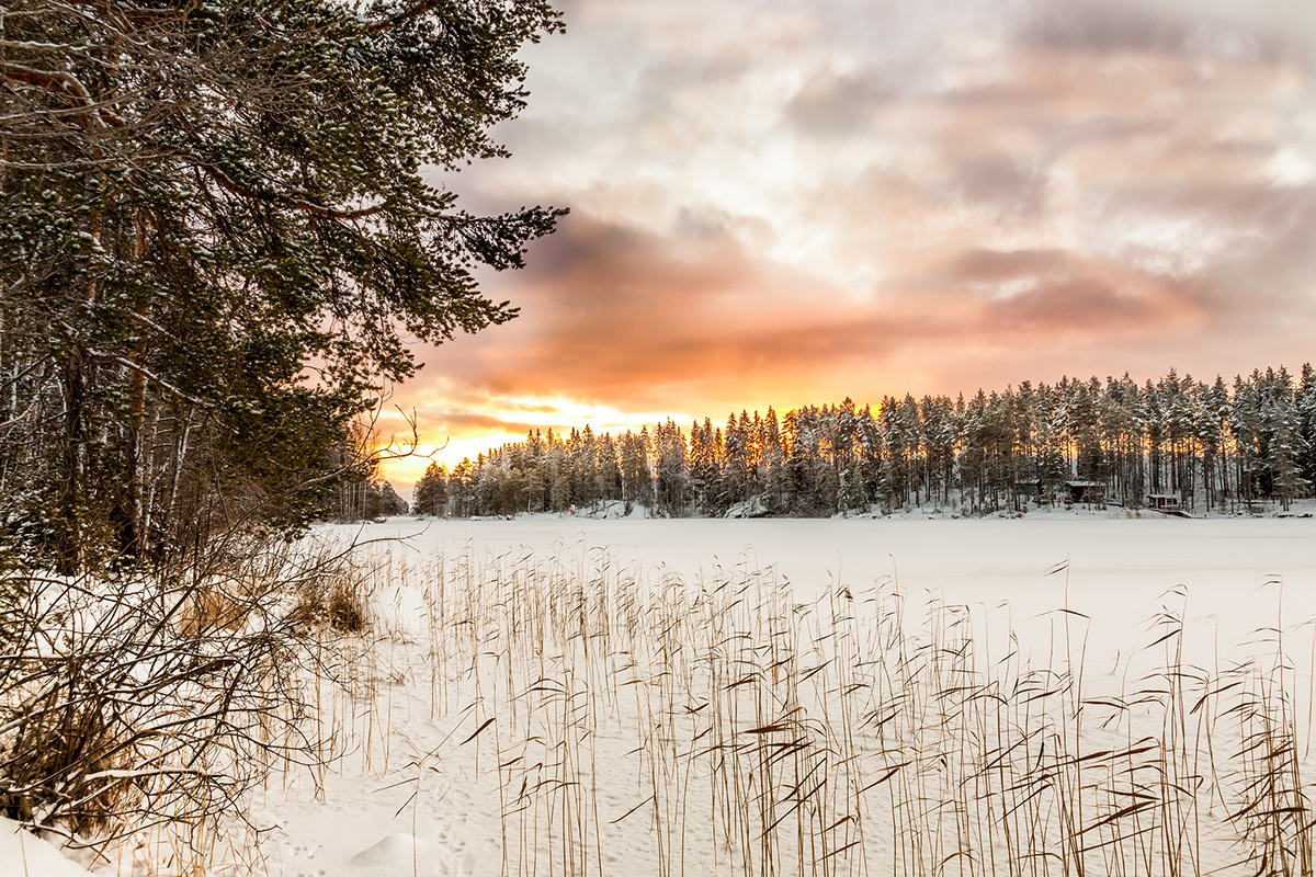 Beautiful portrait photography