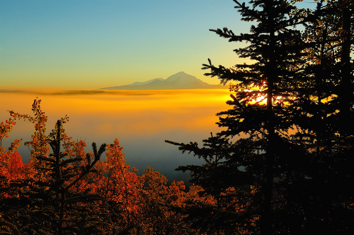 Nature photography at golden hour