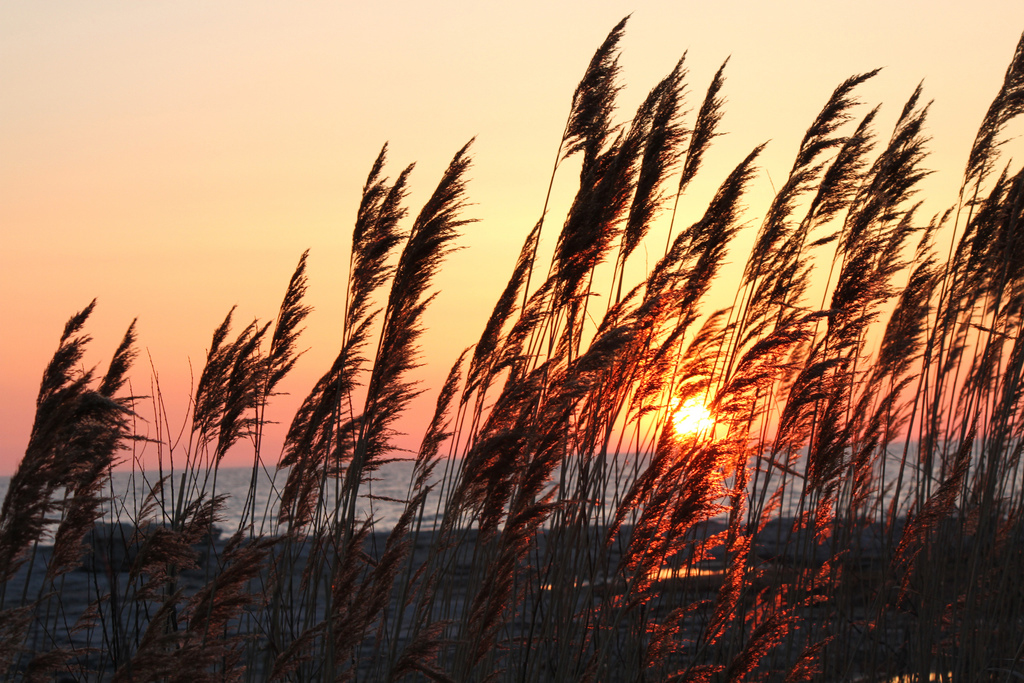 Camera equipment and photography setup