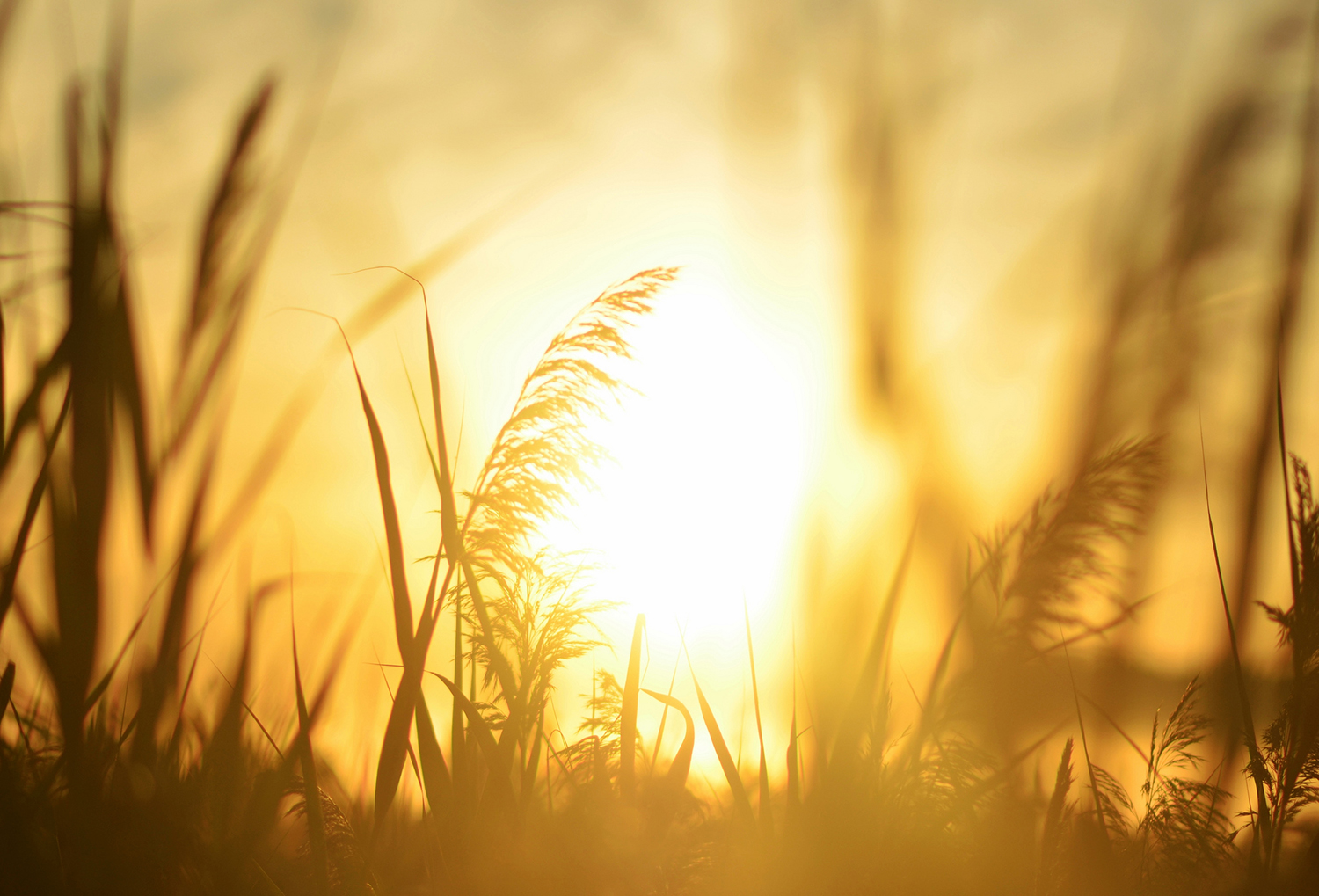 Hazel the photographer at work